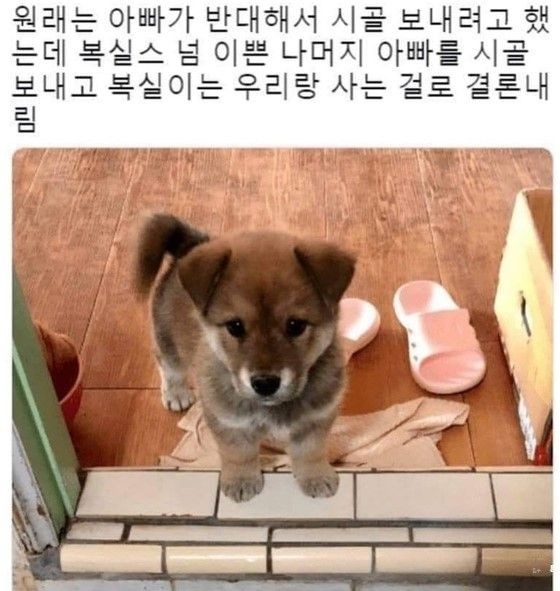 첨부이미지