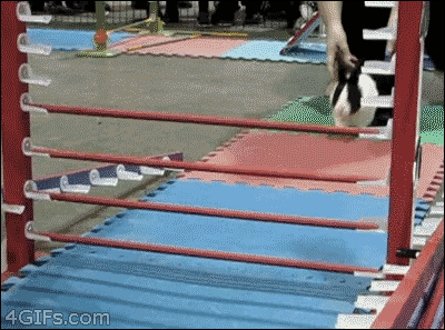 4596702_Avax9AYDlY_1611478420643.gif