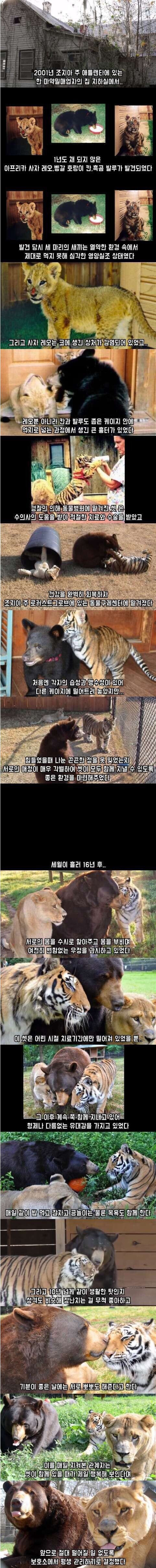 첨부이미지