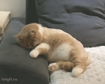 4682356_LEY7abIJYu_1618223770149.gif