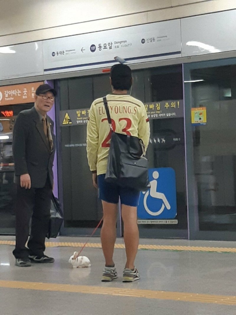 이미지를 클릭하시면 큰 사이즈로 확인하실 수 있습니다.