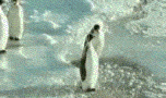 file_down-1.gif
