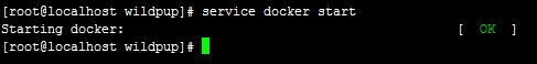 docker 서비스 실행