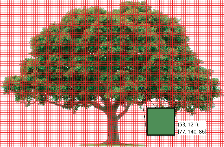 나무 이미지의 (53, 121)에 위치한 픽셀의 RGB 값*<br><small>(*주의: 격자 안의 하나의 정사각형의 크기는 실제 1픽셀보다는 크며, 설명을 돕기 위해 과장하였습니다.)</small>