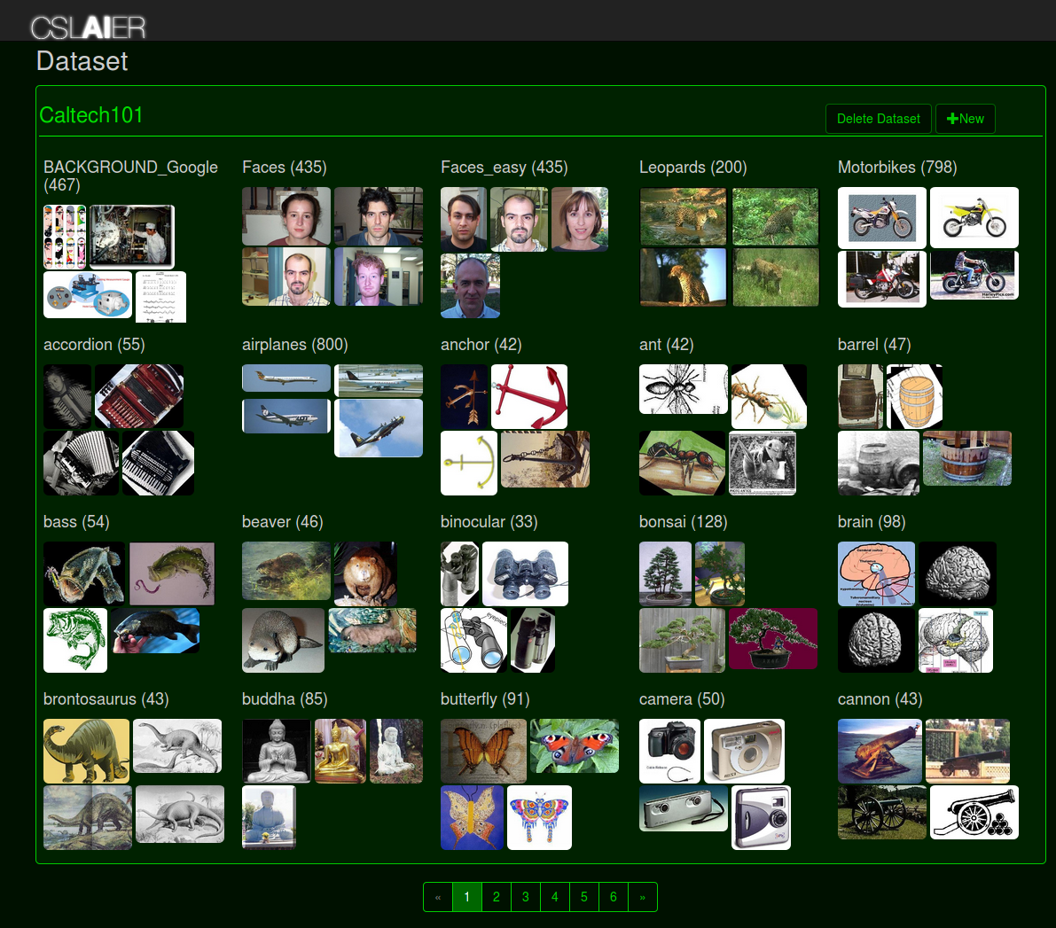 Dataset