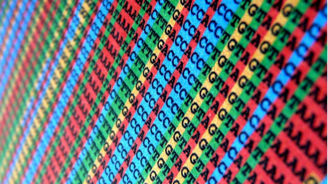 DNA 시퀀스