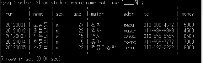 mysql image