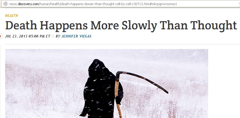 garden path sentence