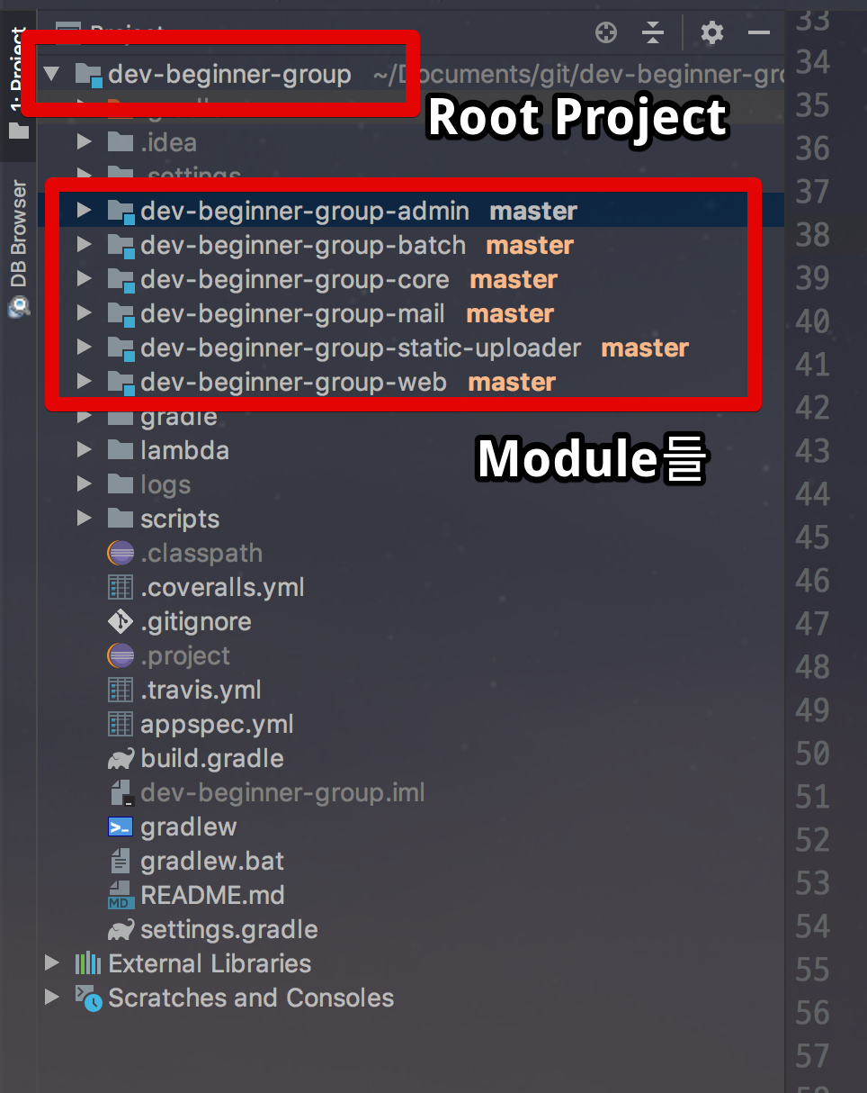 devbeginner