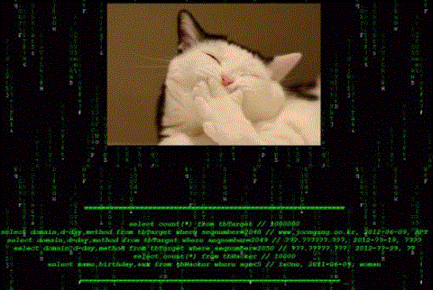 2013011601148_0.gif
