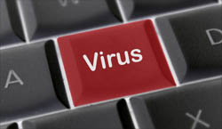 virus15.jpg